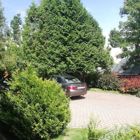 Willa Marianna Zakopane Dış mekan fotoğraf